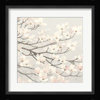Dogwood Blossoms II Gray Framed Print