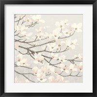 Dogwood Blossoms II Gray Framed Print