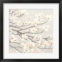 Dogwood Blossoms II Gray Fine Art Print