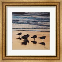 Kalaloch Birds II Fine Art Print