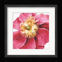 Pink Garden VI Framed Print