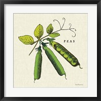 Linen Vegetable IV v2 Fine Art Print