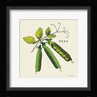 Linen Vegetable IV v2 Fine Art Print