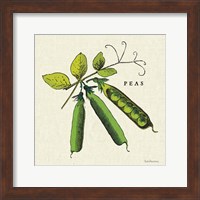 Linen Vegetable IV v2 Fine Art Print