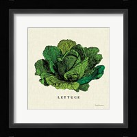 Linen Vegetable II v2 Framed Print