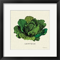 Linen Vegetable II v2 Framed Print