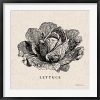 Burlap Vegetable BW Sketch Lettuce Fine Art Print