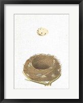 Spring Nest III Fine Art Print