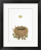 Spring Nest II Fine Art Print