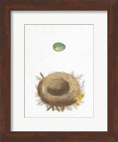 Spring Nest I Fine Art Print