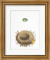 Spring Nest I Fine Art Print