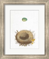 Spring Nest I Fine Art Print