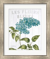 Fleuriste Paris V Fine Art Print