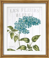 Fleuriste Paris V Fine Art Print