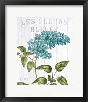 Fleuriste Paris V Framed Print