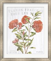 Fleuriste Paris III Fine Art Print