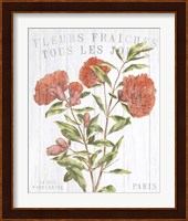Fleuriste Paris III Fine Art Print