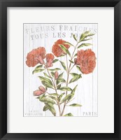 Fleuriste Paris III Framed Print