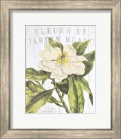 Fleuriste Paris II Fine Art Print