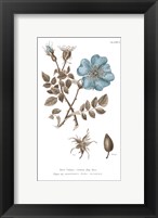 Conversations on Botany IV on White with Blue Fine Art Print