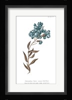 Conversations on Botany VI on White with Blue Framed Print