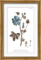 Conversations on Botany VII on White with Blue Fine Art Print