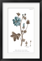 Conversations on Botany VII on White with Blue Framed Print