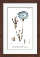 Conversations on Botany III on White with Blue Fine Art Print