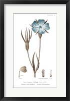 Conversations on Botany III on White with Blue Fine Art Print