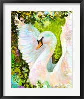 Swan Fine Art Print