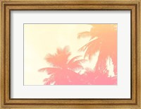 Coconut Palm Trees Fine Art Print