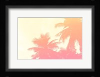 Coconut Palm Trees Fine Art Print