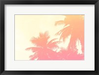 Coconut Palm Trees Fine Art Print