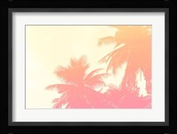Coconut Palm Trees Fine Art Print