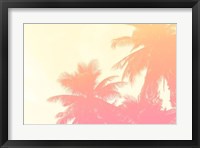 Coconut Palm Trees Fine Art Print