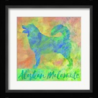 Alaskan Malamute Fine Art Print