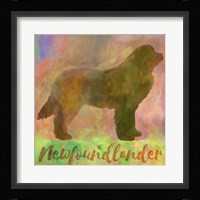 Newfoundlander Dog Fine Art Print