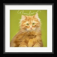Wanna Love Me Cat Fine Art Print