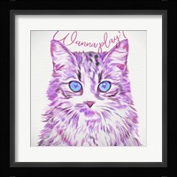 Wanna Play Cat Fine Art Print