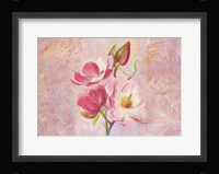 Magnolia Ii Fine Art Print
