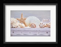Sea Shell Still Life Fine Art Print