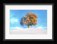 Last Show Fine Art Print