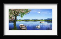 Swan Lake Fine Art Print