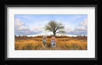 Wild Cats Framed Print