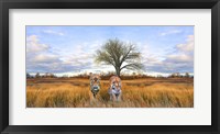 Wild Cats Framed Print