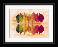 Color Of Autumn Fine Art Print