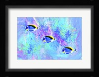 Fish Trio Fine Art Print