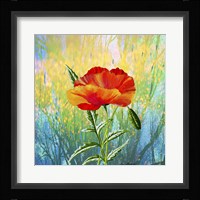 Poppy Flower Fine Art Print
