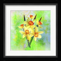 Daffodil Flowers Fine Art Print