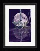 Moonset Point Fine Art Print